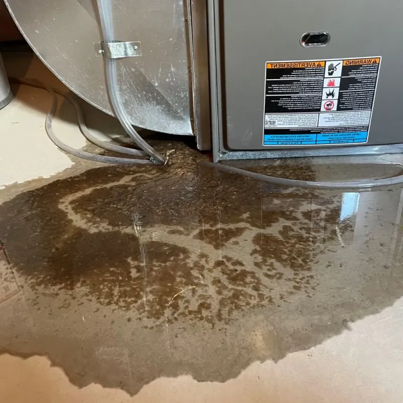 Pipe Burst and Leak Restoration in Houserville, PA
