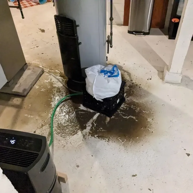 Sewage Backup Cleanup Service in Houserville, PA